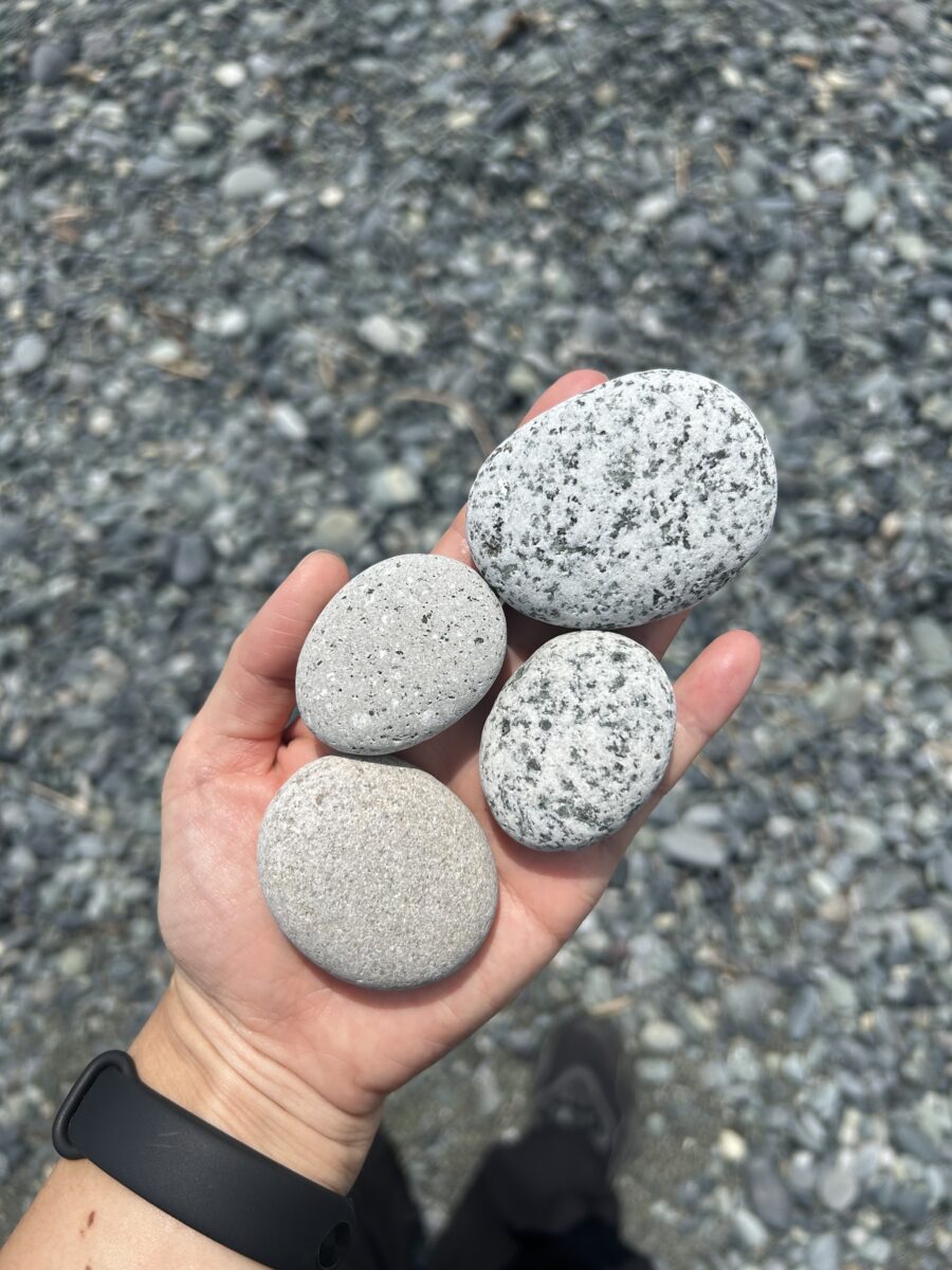 ごま塩柄の石の写真
