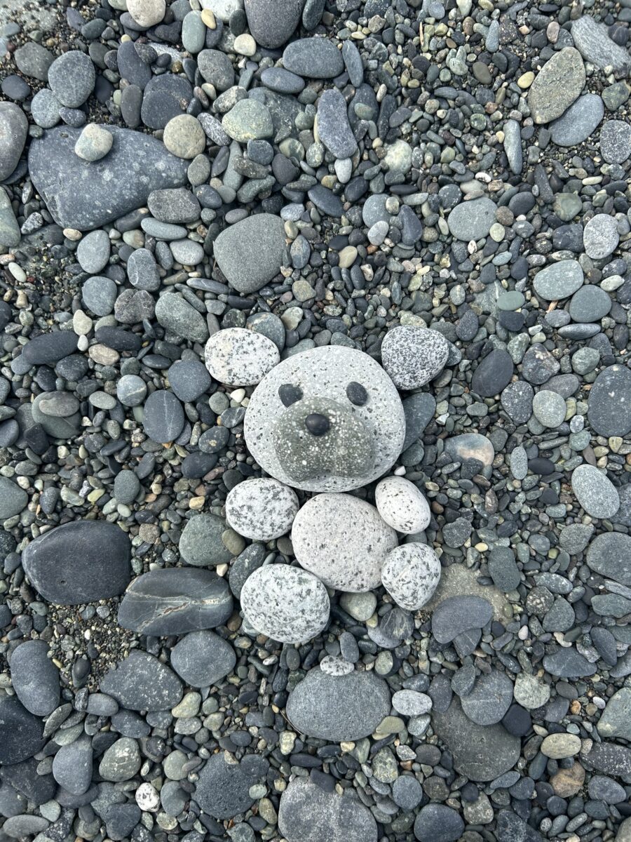 石で作ったくまちゃんを探せ!の写真