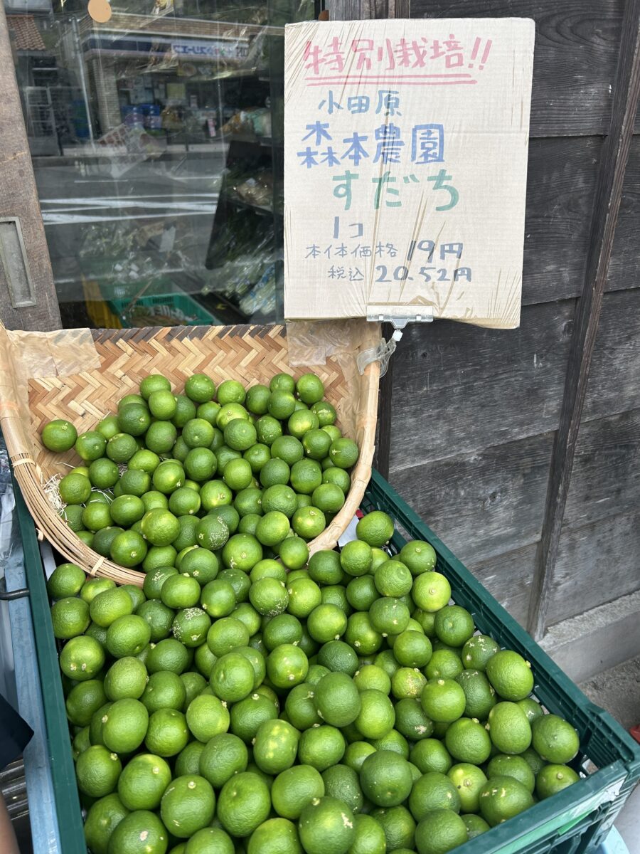 大磯駅のすだちの写真